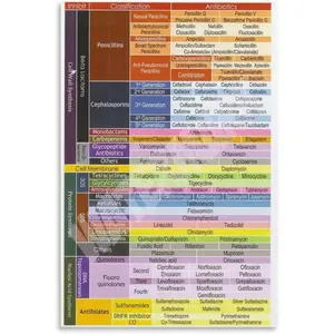 Classification Chart Medical Student Posters Canvas Posters And Prints Wall Art for Living Room Bedroom Decor 12x18inch(30x45cm) Unframe-style