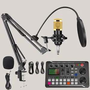 Professional Podcast Kit, USB Rechargeable Studio Condenser Microphone with Adjustable Stand & Voice Changer & Volume Control, Suitable for DJ, Live Streaming, Gaming, Karaoke & Singing