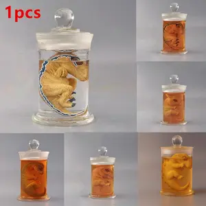 Jurassic Park Dinosaur Embryo Jar, Jurassic World Velociraptor Embryo Jar, Movie Prop Replica, Collectible Film Memorabilia