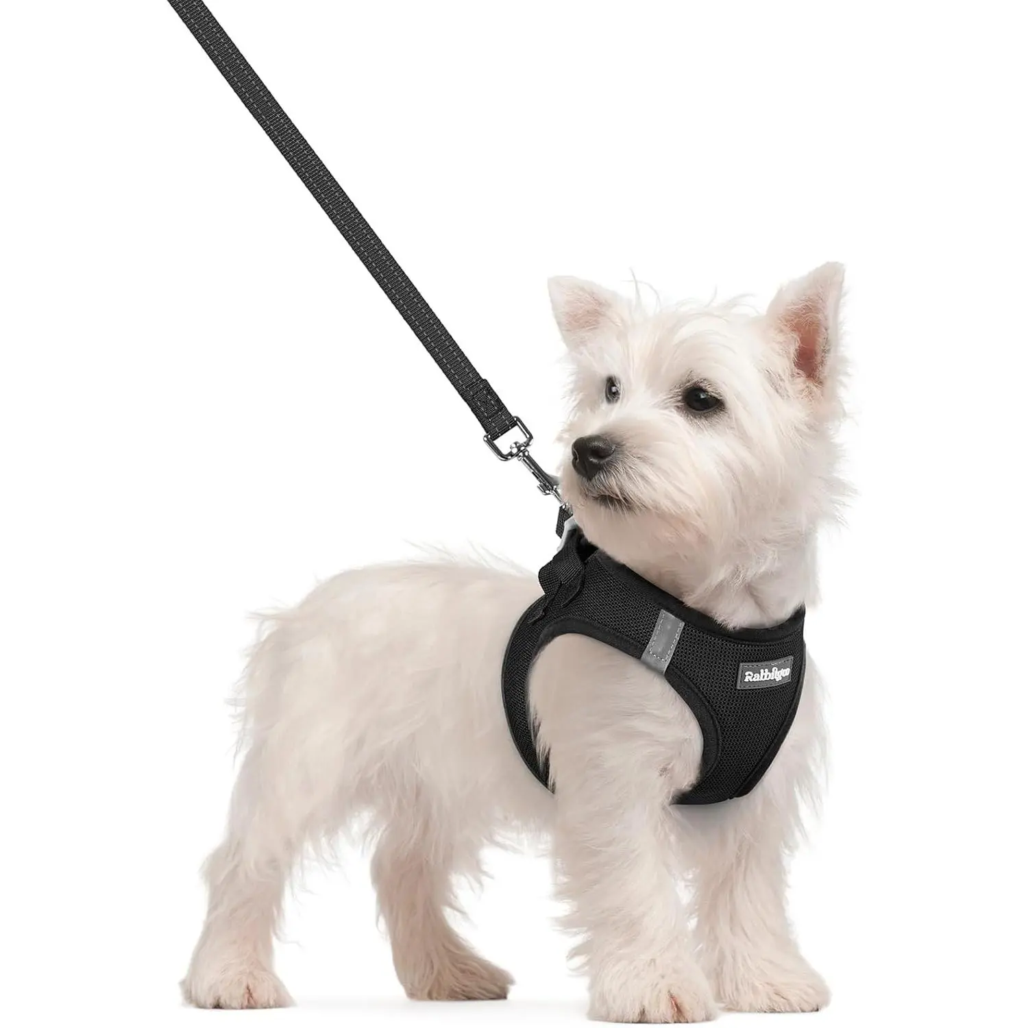 rabbitgoo Small Dog Harness and Leash Set - Step-In Soft Light Puppy Vest, Breathable Mesh, Reflective for Safe Easy Walking, Black (Collars & Harnesses & Leads)