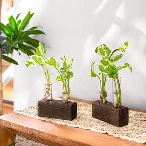 Ivolador Propagation Stations Double Test Tube Plants Terrariums in Wooden Stand Propagation Station for Hydroponic Plants Office Home