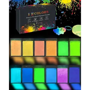 12 Colors Glow in The Dark Pigment Powder Luminous Mica Powder Epoxy Resin Dye 10g/0.35oz Each Bag for DIY Crafts Nail Art Acrylic Paint Halloween Christmas Decoration