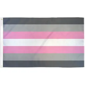 Demigirl Flag 3x5ft