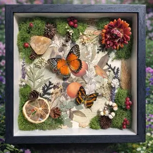 Real Butterfly Shadowbox Display Decor with Moss, Dried Flowers, and Pinecones for Home Decor