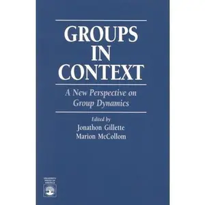 USED-Groups in Context: A New Perspective on Group Dynamics by Gillette, Jonathon (Paperback)