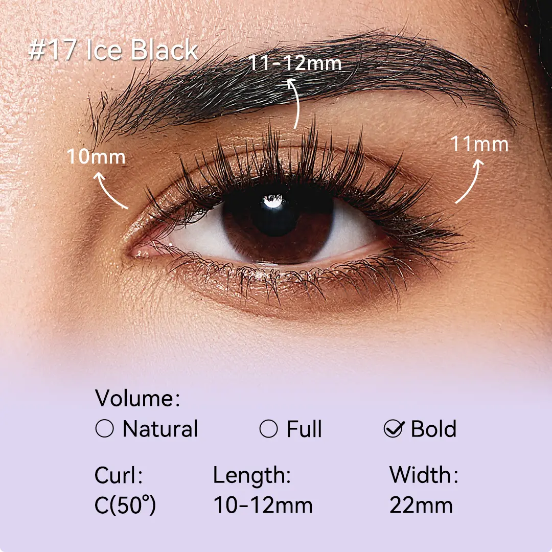 #17 Ice Black BearisBugAll-in-One