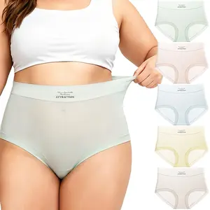 5 Pack Plus Size High Waist Mesh Underwear for Women, Ultra Thin Breathable Tummy Control Briefs, XL-5XL No Roll Soft Stretch Ladies Panties