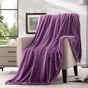Bertte Throw Blanket, 330 GSM Super Soft Lightweight Luxury Fleece Blankets for Couch Sofa Bed Ultra Luxurious Warm and Cozy for All Seasons, 50"x 60", Lavender