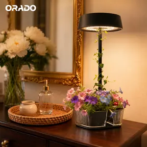 ORADO Aesthetic Wireless Desk Lamp with Acrylic Planter – Rechargeable Table Light for Cozy Rooms & Home Decor