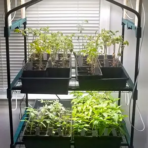 24-Piece Seed Starting Trays, 6-Cell Plant Starter Pans with Drain Holes, 5.4 X 3.7 Inches, Ideal for Seed Germination