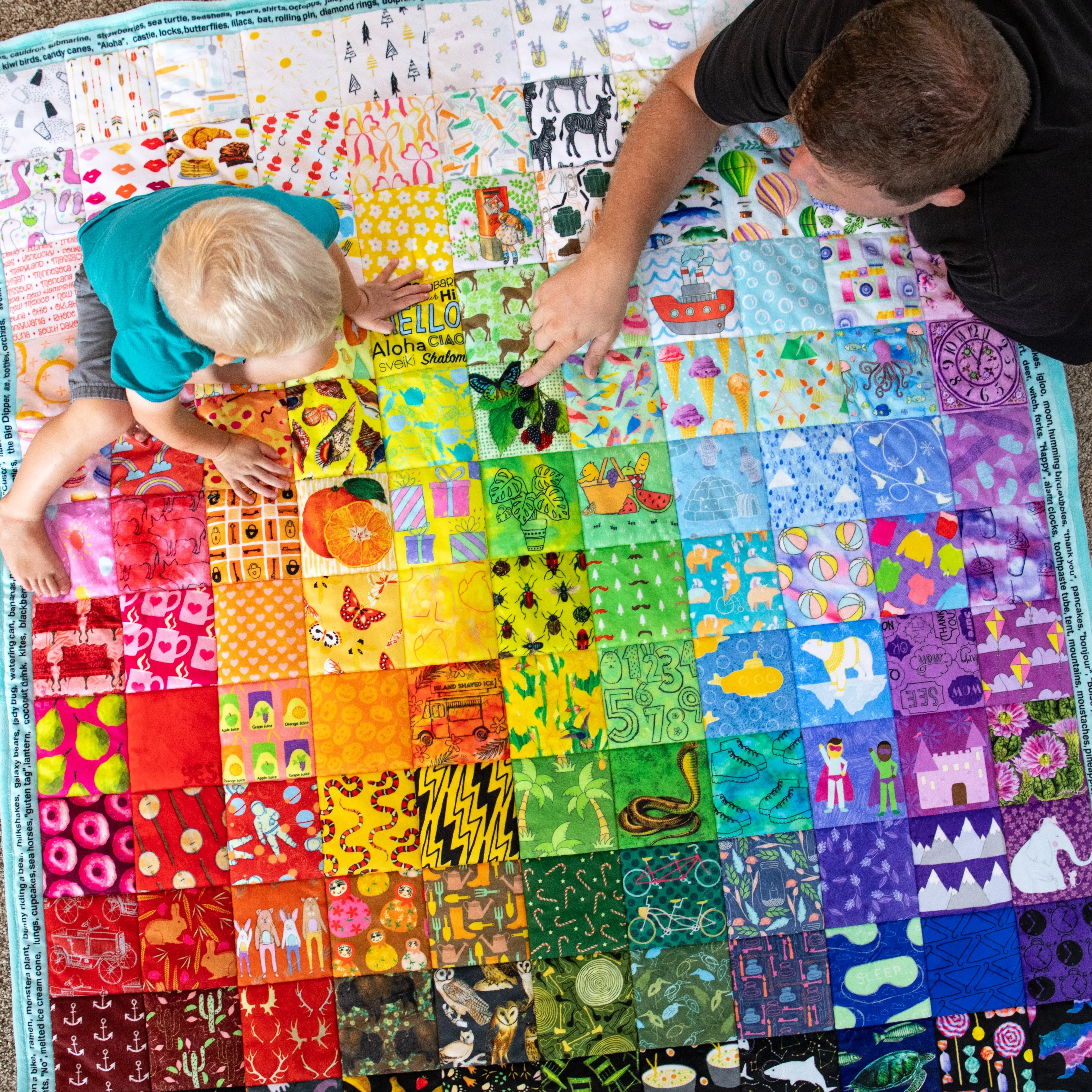 Hidden Pictures Blue Minky Quilt Panel - Original