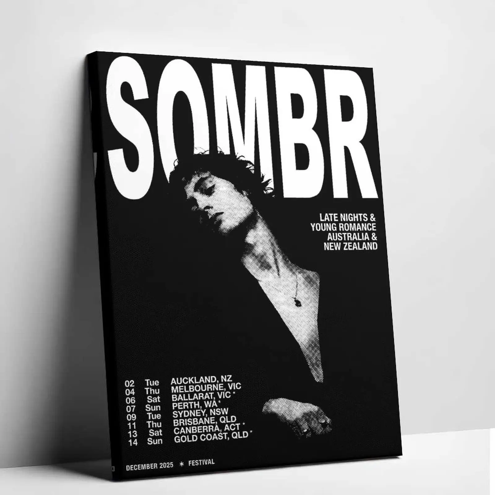 Singer Themed Poster  Upgrade your room aesthetic with this vintage SOMBR tour canvas The perfect dark indie vibe for your walls