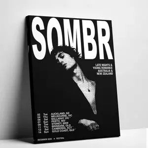 Singer Themed Poster  Upgrade your room aesthetic with this vintage SOMBR tour canvas The perfect dark indie vibe for your walls