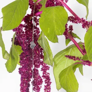 Sunday Kind of Love Bracelet