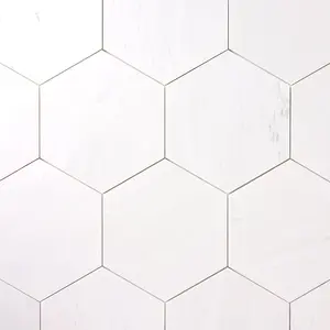 Bianco Dolomite Marble 4x4 Hexagon  Polished/Honed Sample
