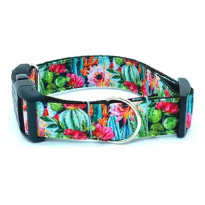 Colorful Cactus Saguaro Dog Collar - Perfect for Your Pet