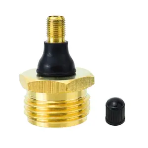 2 Pcs Brass Blow Out Plug for RV Antifreeze, Air Hose Compatible with Schrader Valve to Blow Out RV Water Lines, Winterization Valve for Campers, Motorhomes and Travel Trailers