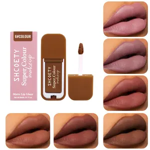 High-End Matte Lip Gloss, Long-Lasting Color, Versatile Shades, Suitable for All Skin Tones, Bold and Durable Makeup