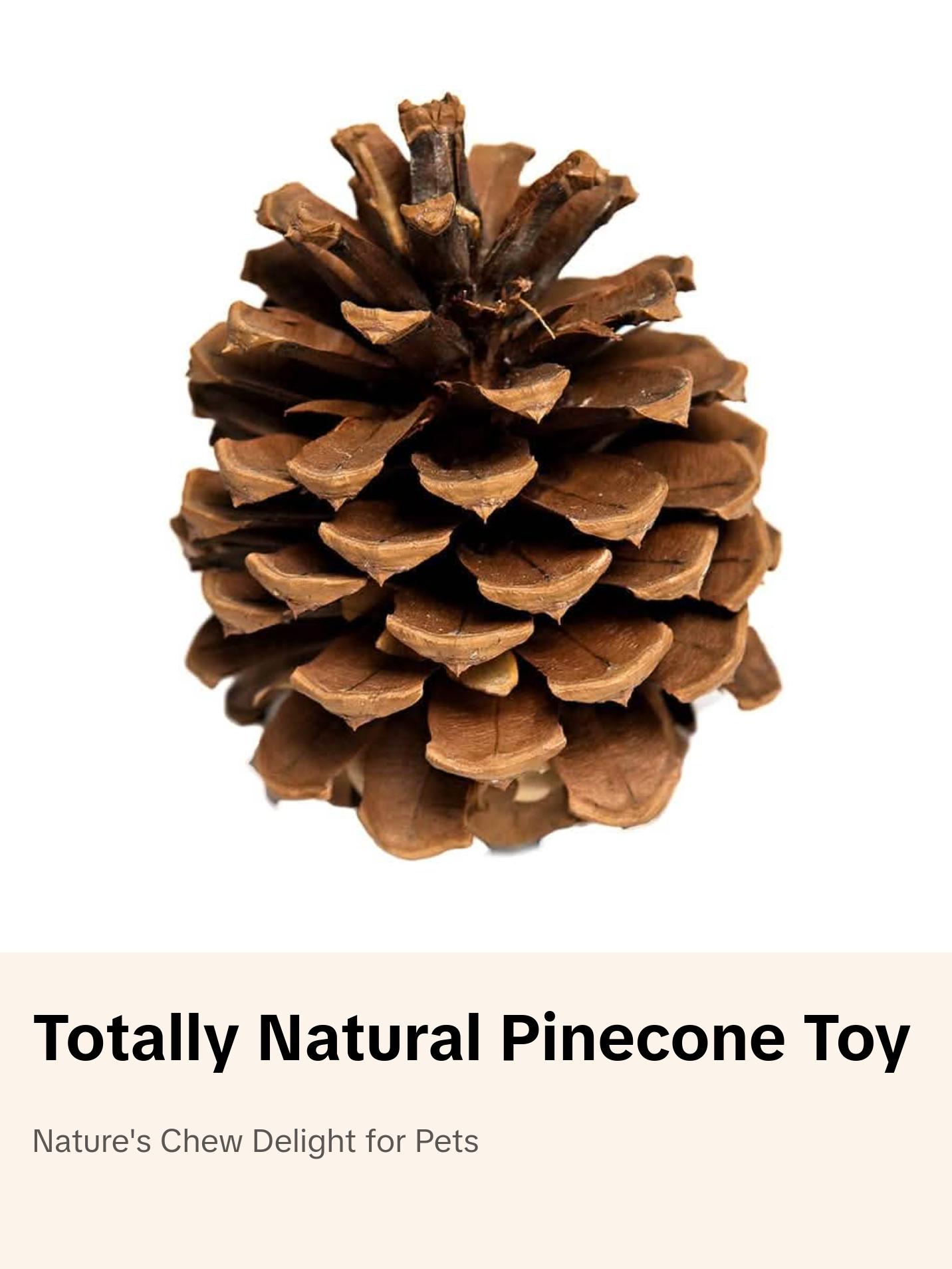 Totally Natural Pinecone
