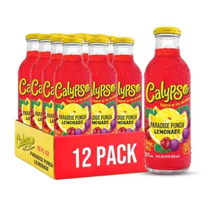 Lemonade, Paradise Punch Lemonade, Made with Real Fruit, 16 Fl Oz Glass Bottles (Pack of 12)