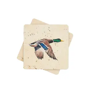 Mallard Coaster