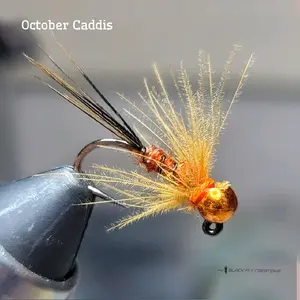 Black Fly 2-Pack (October Caddis) Tungsten Jig Trout Wet Flies, Buggy Rusty CDC Pheasant Tail Nymph Pattern, Effective for Euro Nymphing, Dead Drift, Jigging & Ice Fishing, Ideal for Trout, Salmon, Panfish & Grayling by Black Fly Creations