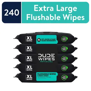 DUDE Wipes Flushable Wipes, XL Wet Wipes for at Home Use, Mint Chill, 48 Count, 5 Pack