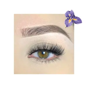 Iris Lashes - Lightweight and Long-Lasting Eyelash Extensions