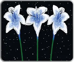Ice Cold Lilies Mousepad