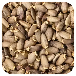 Frontier Co-op Organic Whole Milk Thistle Seed, 16 oz (453 g)