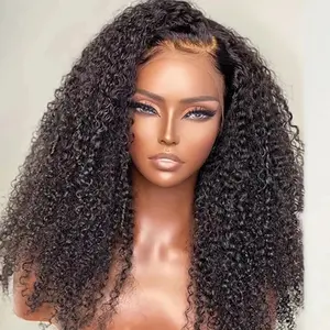 Realistic Vietnamese Curly Human Hair Wig with HD Lace, Preplucked Hairline, 180%