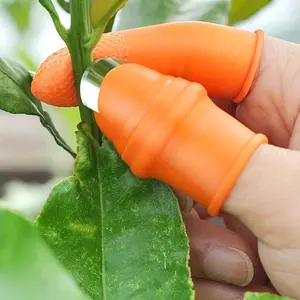 (1+5) Ergonomic Thumb Knives Designed for Peeling Garlic And Herbs, Stainless Steel Kitchen Tools with a Finger Protection Nail Device, Versatile Trimmers for Beans, Peppers, Fruits, And Vegetables