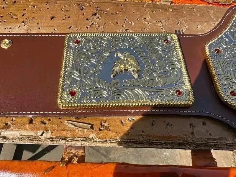 BIG GOLD World Heavyweight Championship Replica Tittle Belt DieCasting Adult 6MM