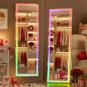 56"x15.7" LED RGB Full Length Mirror with Lights, Full  Mirror with Stand, Wall Mount & Free Standing Floor Mirror for Bedroom Living Room Cloakroom, 7 Color & Brightness Adjustable