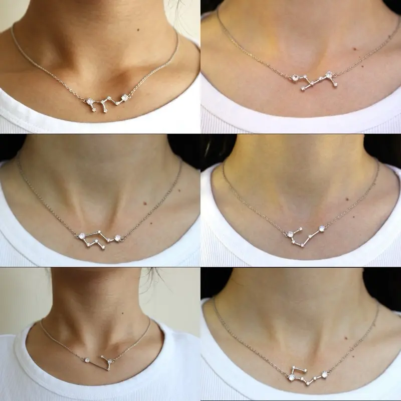 Sterling Silver 12 Zodiac Sign Necklaces, Jewelry Accessories for Women