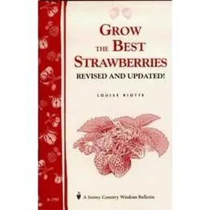 Grow the Best Strawberries
