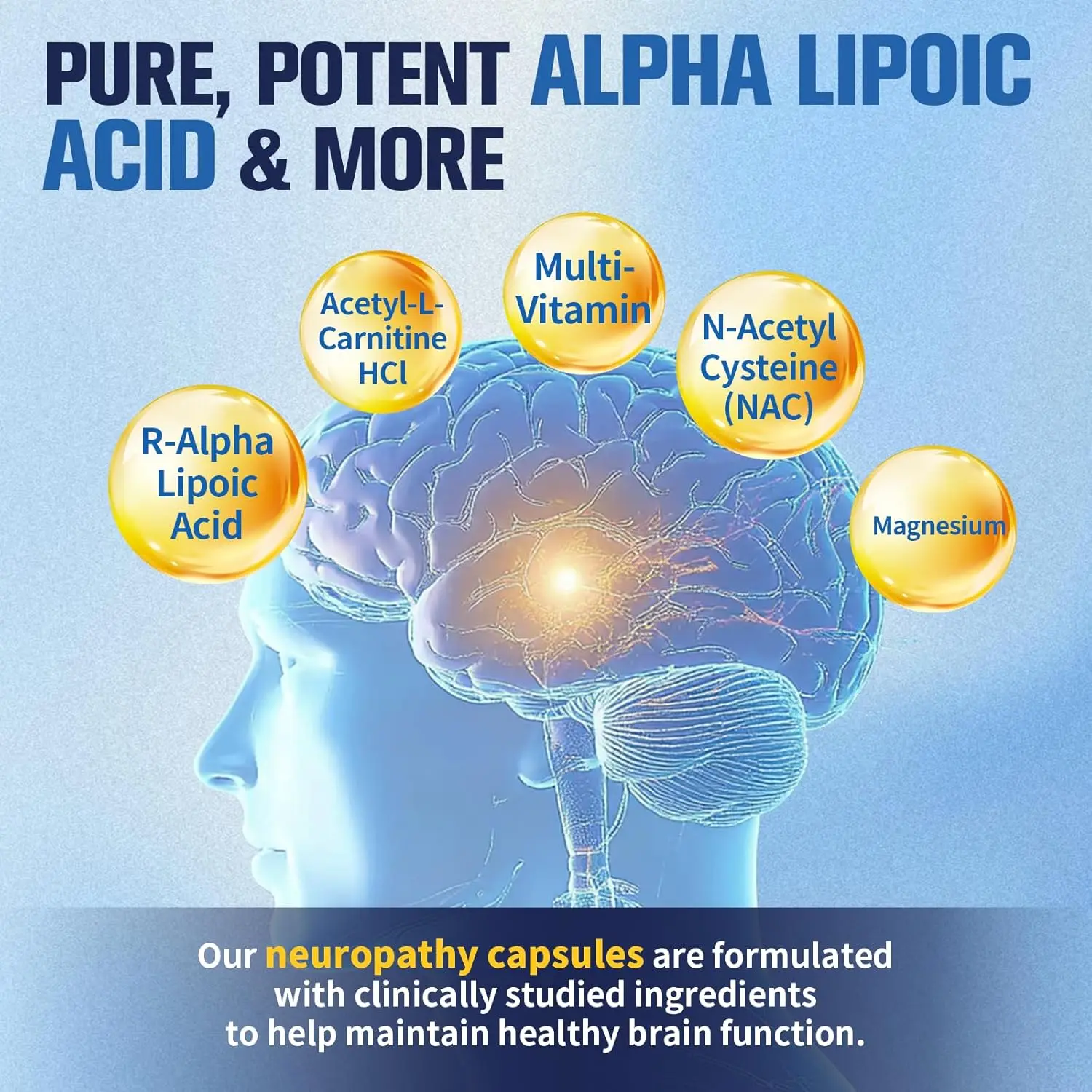 Nerve And Neuropathy Support Supplement, With R Alpha Lipoic Acid L  Carnitine B Vitamins Lions Mane Nac Magnesium Turmeric For Nerve Comfort  Antioxidant Support Liver Detox Cognitive Wellness, Holiday Health Gift -