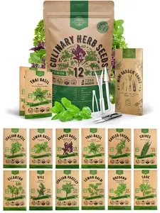 12 Culinary Herbs Seeds Variety Pack