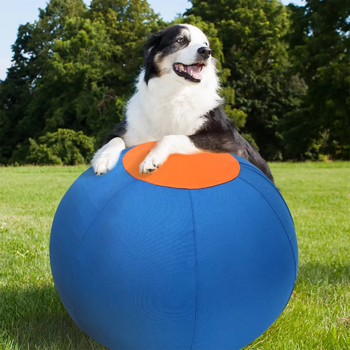 Inflatable Dog Ball – Large Outdoor Interactive Training Toy for Dogs