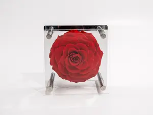 ExoticEtFleur Preserved Rose in Acrylic Cube: Timeless Beauty for Every Milestone (can be customize)