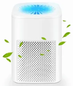 Air Purifiers for Allergies and Asthma,Ailkin Gonrair Air Cleaner for Home,Bedroom,Dust,Pets,Indoor,Office,Small Room,Mini Portable Desktop Air Purifier for Smoke Odor
