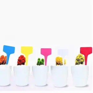 TomorrowSeeds - 5 Colors Mix T-Shaped Plant Labels Garden Stake Plastic Row Marker Pot Seed Party Food Safe Waterproof Label 2024 Season Free Shipping -