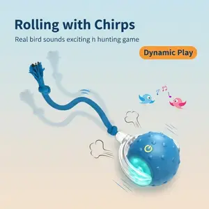 Cat & Dog Need Toy - Interactive USB Rechargeable Ball Toy on Rug with Bird Chirping, Anti-Depression Fun Gift for Cats & Dogs