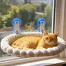 Foldable Cat Hammock, Cute Kitty Kitten Bed for Cats Up to 20 kg: Window Hanging Bed with Strong Suction Cups, Easy Installation, Removable Design for Home Use