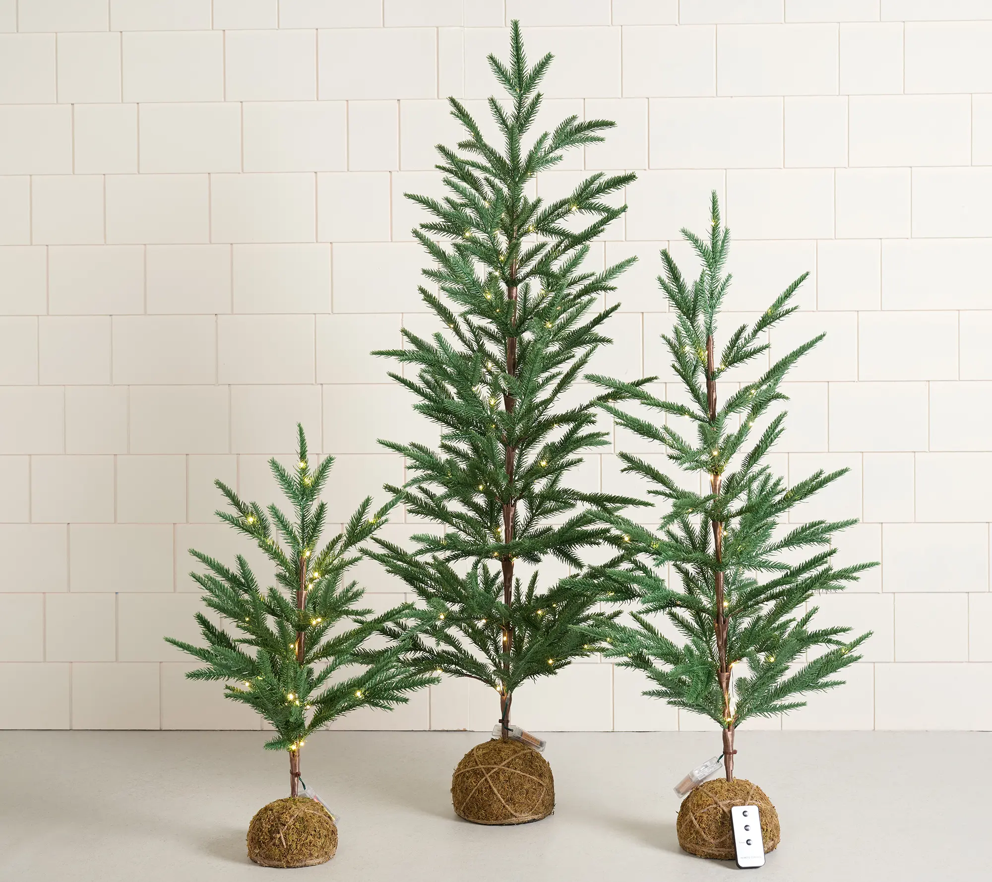 Presley Pierce S/3 Illuminated Moss Ball Trees Presley Pierce S/3 Illuminated Moss Ball Trees