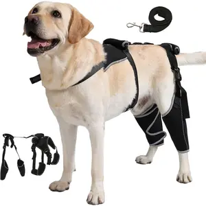 Dog Knee Brace with Adjustable Support Acl Hind Leg for Support with Cruciate Ligament Injury, luxating Patella,Arthritis,Dog Acl Knee Brace with Dog Chest Harness