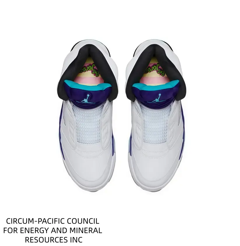 Retro High Top Trainers, Functional Footwear for City Roaming and Casual Meetups