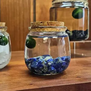 Medium Moss Ball Terrarium with Lapis Lazuli Crystals, 3" Height, 3" Diameter, Home Decor Plant Pet, Nature-Inspired, Made in USA, Zebra Mussel-Free