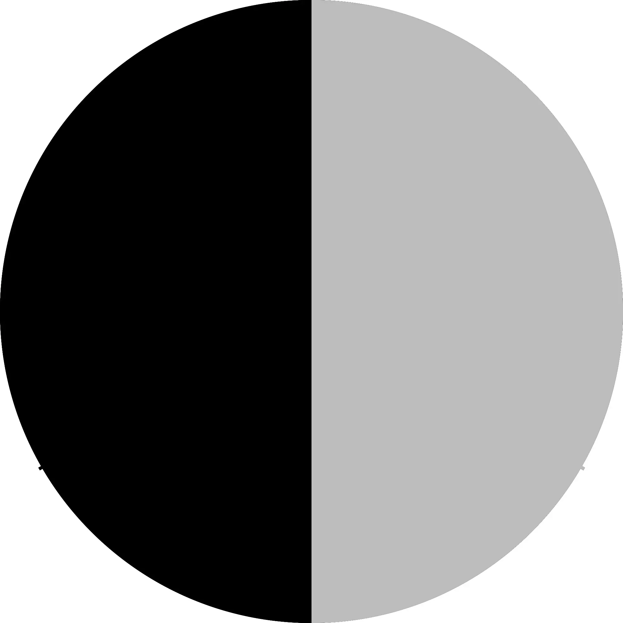 Acid Wash Gray+Black