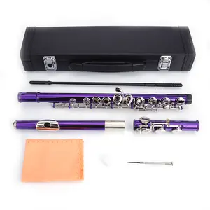 Cupronickel C Key 16 Closed Hole Concert Band Flute Purple Finish 26.38" Length with Case & Maintenance Kit Premium Construction Rich Tone